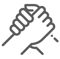 icon strategic alliances with partners